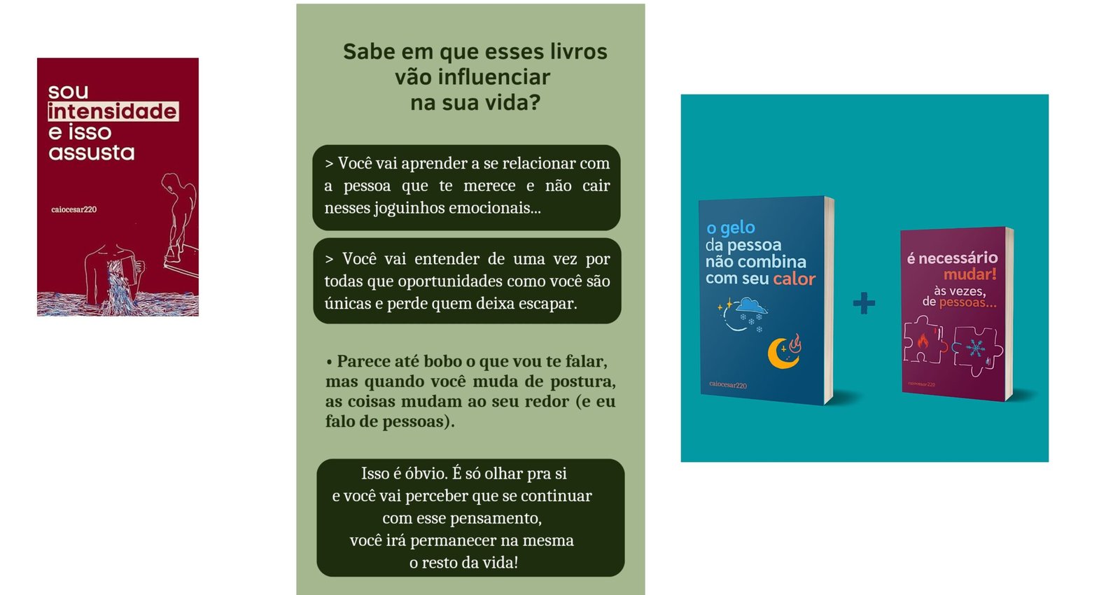 Caiocesar220 os melhores Livros: Gelo não combina - Sou Intensidade e Isso me assusta CURSOSS