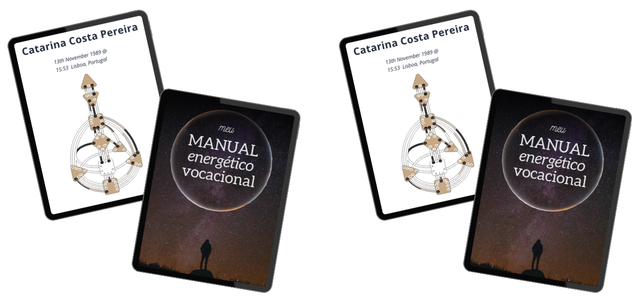 Manual Energético Vocacional: Descubra o Caminho da Sua Alma para o Sucesso Profissional CURSOSS