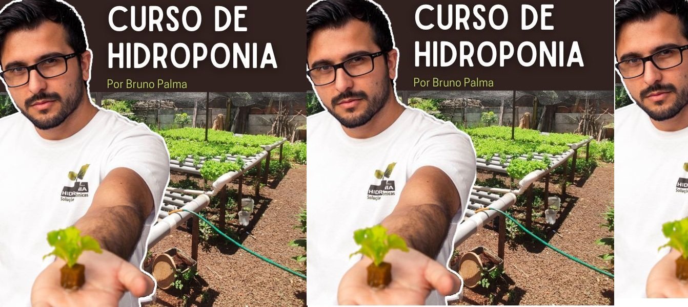 Produza Alimentos Hidropônicos em Casa com o Curso Online de Hidroponia de Bruno Palma – Aprenda a Cultivar Hortaliças de Forma Sustentável e Sem Agrotóxicos CURSOSS