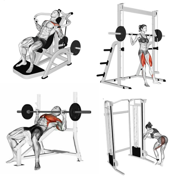 Planilhas de Treino Personalizadas e Nutrição Completa!