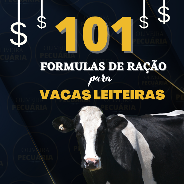 Qual é o Melhor Guia de Fórmulas de Ração para Vacas Leiteiras para Iniciantes?