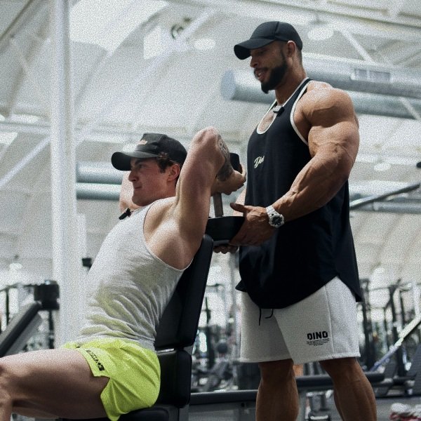 Review Dino App: O Planejamento de Treino do Ramon Dino Vale a Pena?